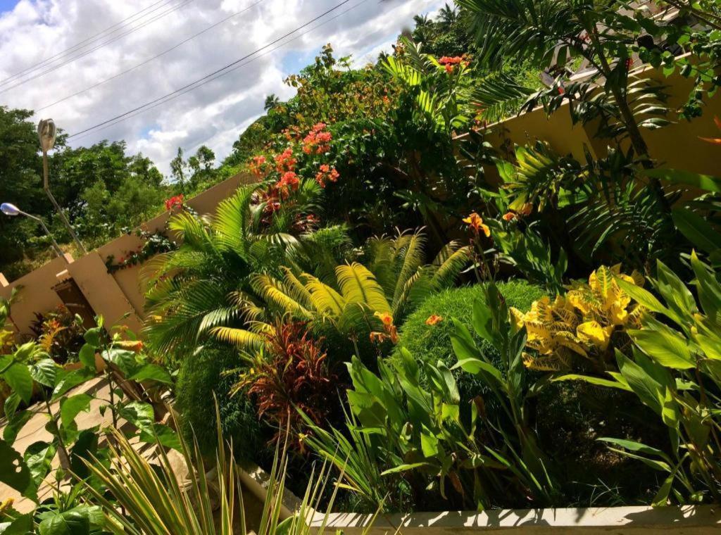 Victoria Palms Hotel Suva Ngoại thất bức ảnh